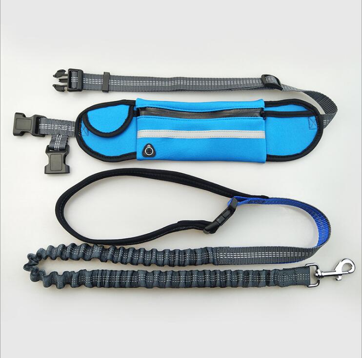 Hands-Free Running Lead in blue