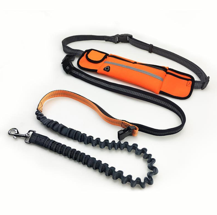 Hands-Free Running Lead in orange