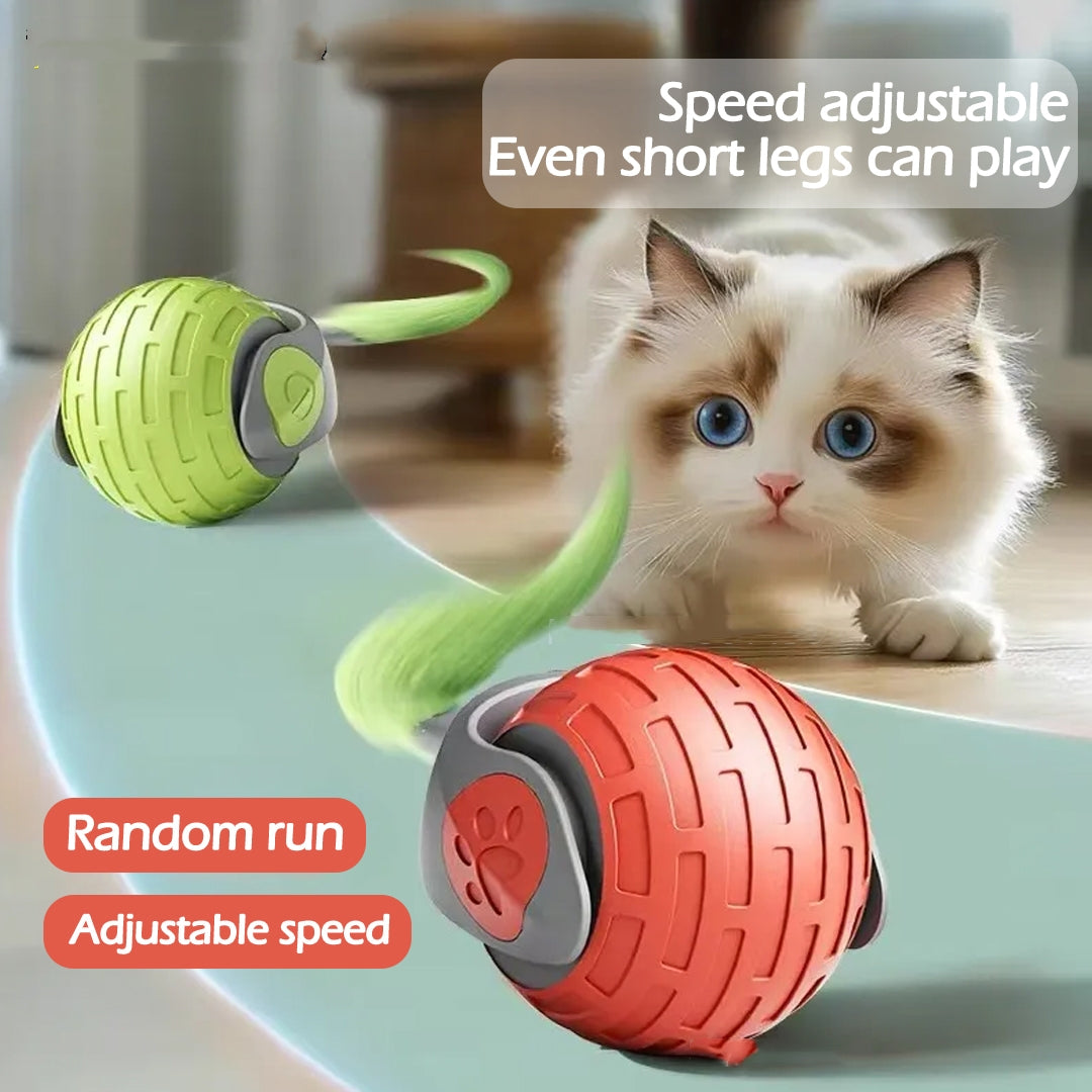 Roll-About Cat Ball