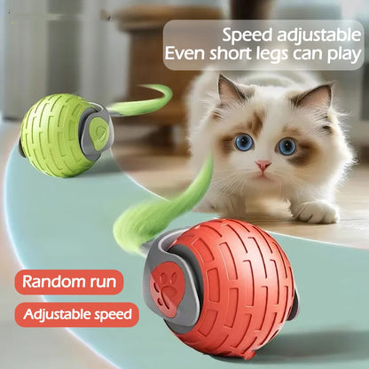 Roll-About Cat Ball